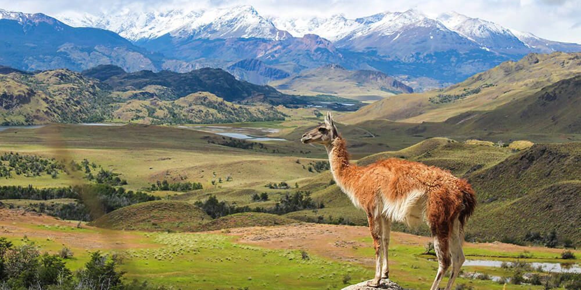 El Listado de Áreas Silvestres Protegidas de la CONAF en Chile es un registro que detalla los Parques Nacionales, Reservas Nacionales y Monumentos Naturales del país que son administrados por la corporación...