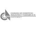logo_cam-com