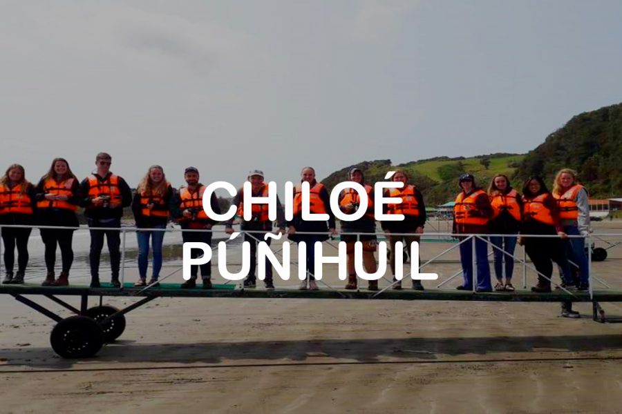 Chiloé – Púñihuil